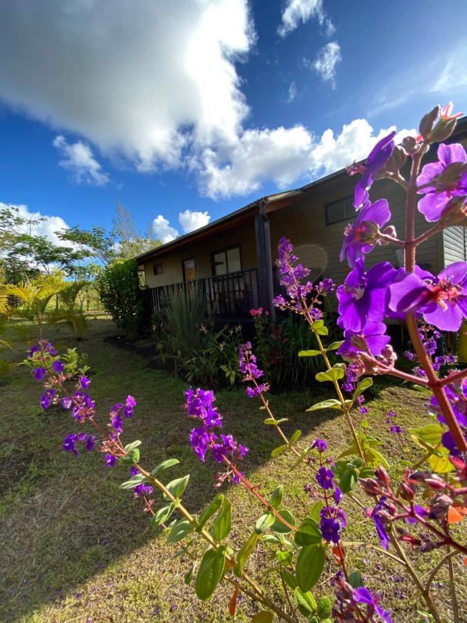 Maunga Roa Eco Lodge Hanga Roa Exterior photo