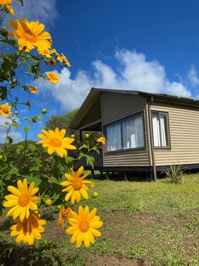 Maunga Roa Eco Lodge Hanga Roa Exterior photo